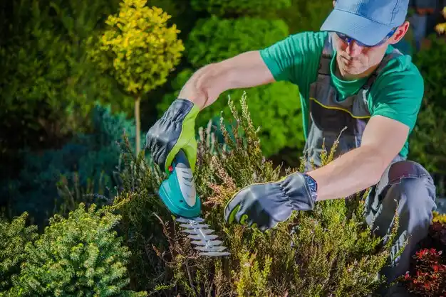 landscaping services Sylvan Lake
